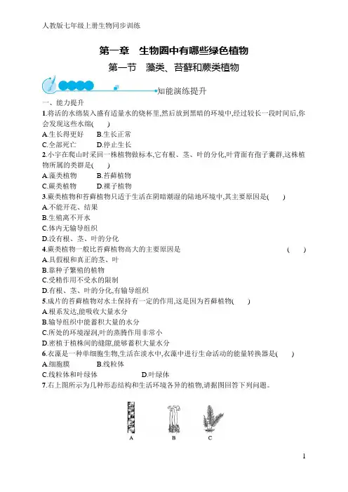 人教版七年级上册生物同步训练第1章  第1节 藻类、苔藓和蕨类植物