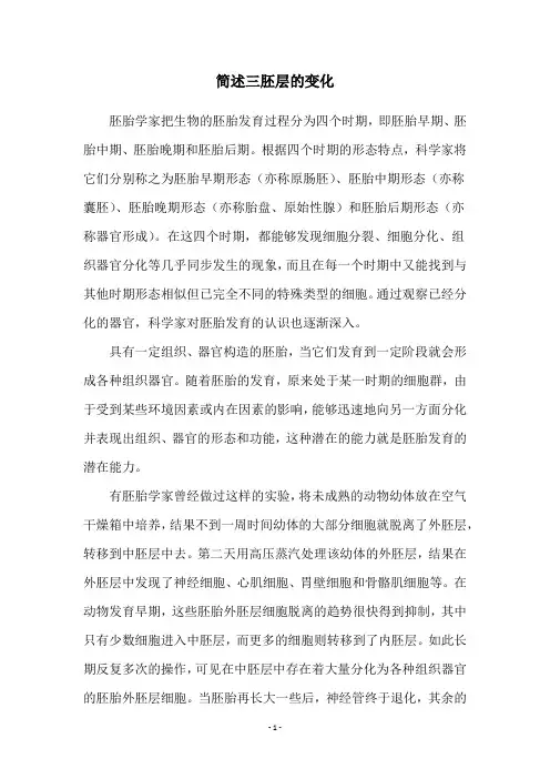 简述三胚层的变化