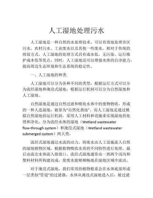 人工湿地处理污水