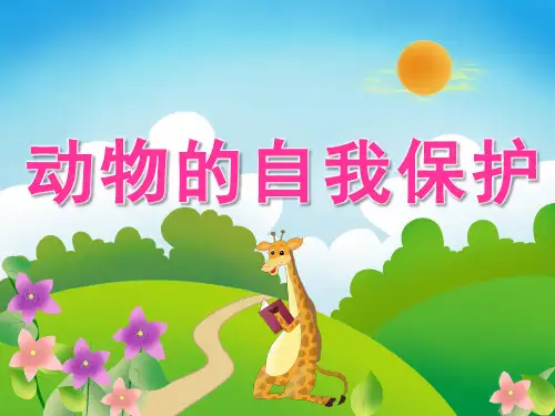 大班科学《动物的自我保护》课件