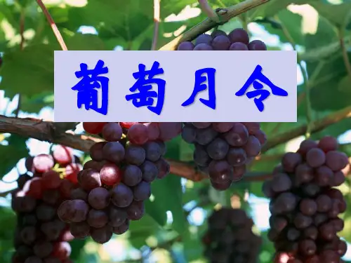 《葡萄月令》PPT优秀课件