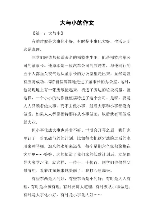 大与小的作文