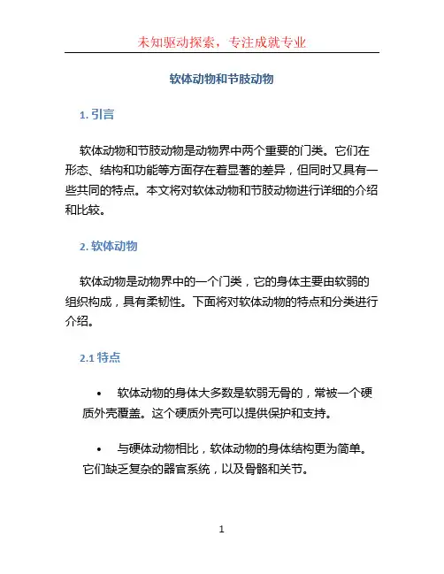 软体动物和节肢动物ppt (3)