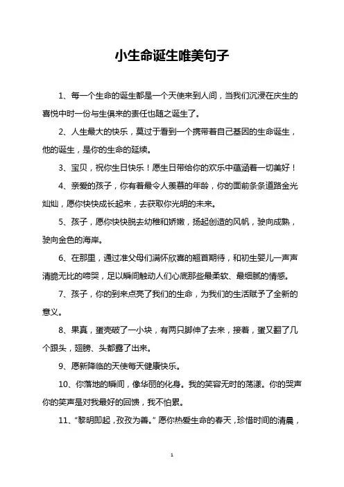 小生命诞生唯美句子