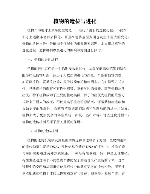 植物的遗传与进化