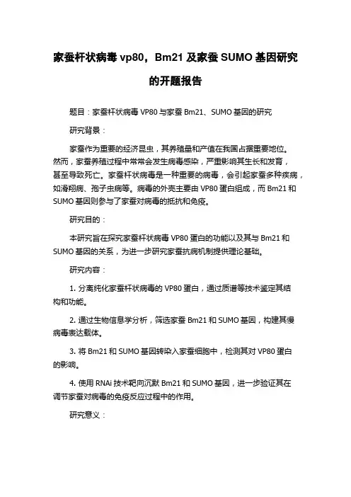 家蚕杆状病毒vp80,Bm21及家蚕SUMO基因研究的开题报告