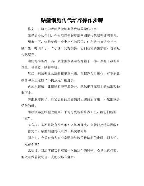 贴壁细胞传代培养操作步骤