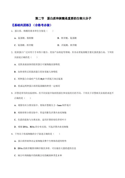 (沪科版2020必修1)高一生物同步精品练习 2.2 蛋白质和核酸是重要的生物大分子(原卷版)