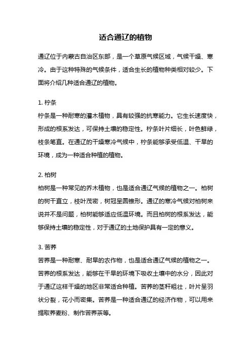 适合通辽的植物