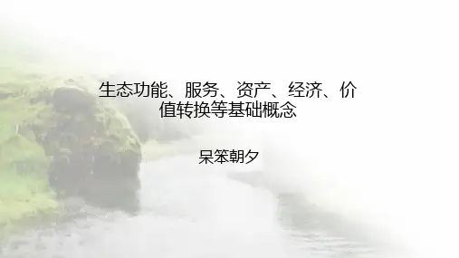 生态功能、服务、资产、经济、价值转换等基础概念