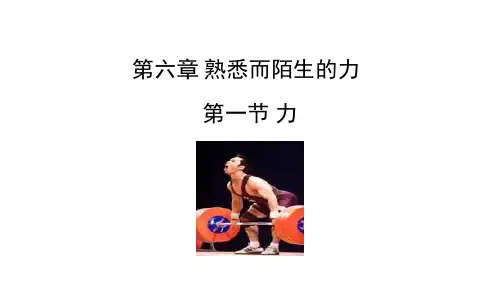 《熟悉而陌生的力》章末复习课件1 (1)