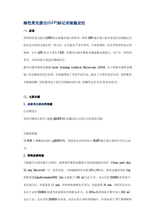 绿色荧光蛋白（gfp）标记亚细胞定位[整理版]