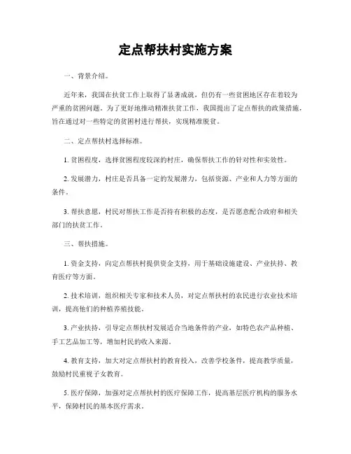定点帮扶村实施方案