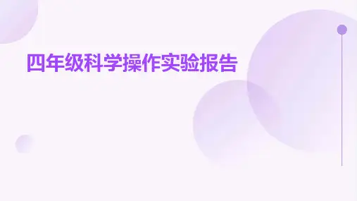 四年级科学操作实验报告PPT