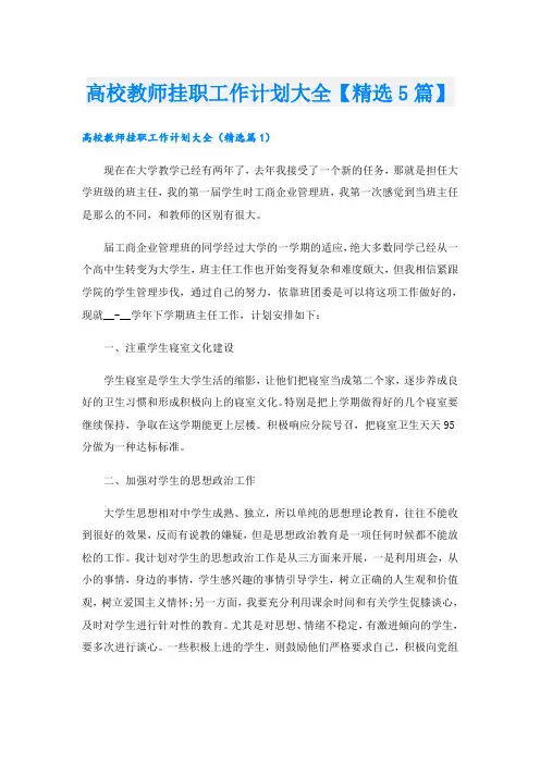 高校教师挂职工作计划大全【精选5篇】