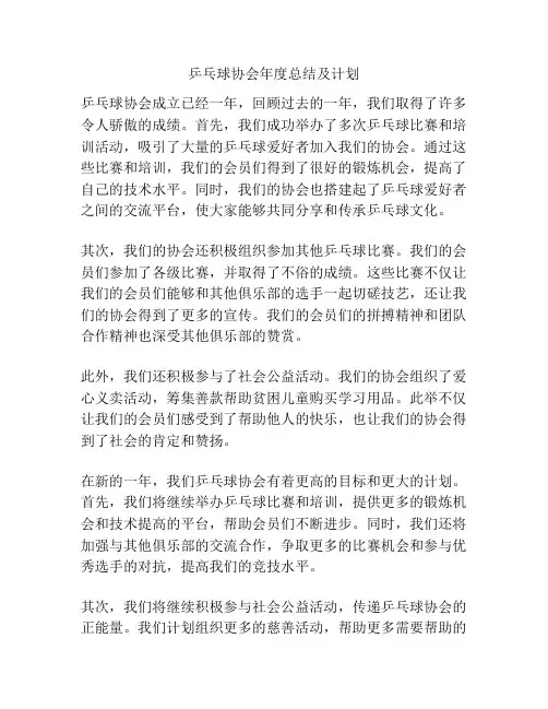 乒乓球协会年度总结及计划