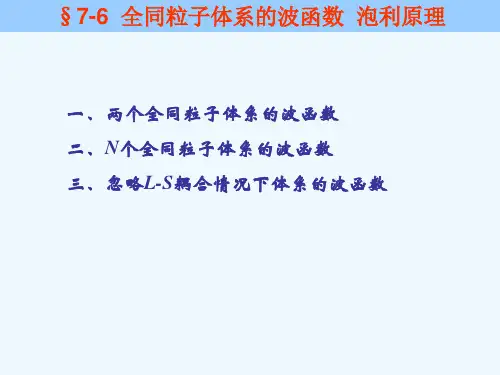 全同粒子体系的波函数_泡利原