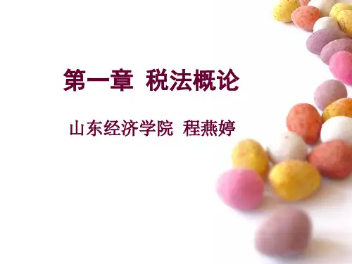 税法概论相关知识.pptx