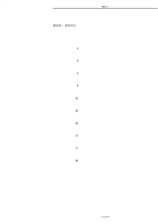 碧桂园SSGF前期策划方案