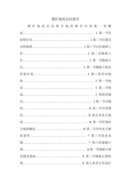 煤矿地质总结报告.doc
