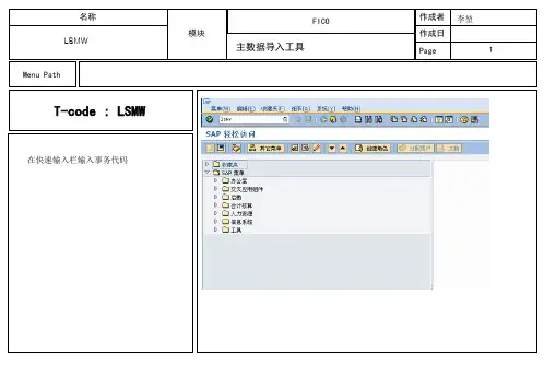 SAP LSMW详细教程ppt课件