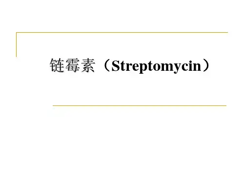 第四章 链霉素制药