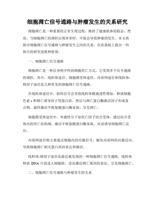细胞凋亡信号通路与肿瘤发生的关系研究