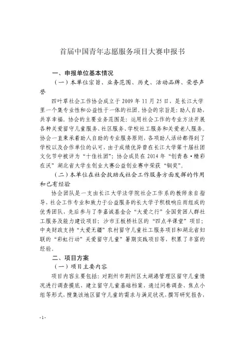 首届中国青年志愿服务项目大赛申报书（定）