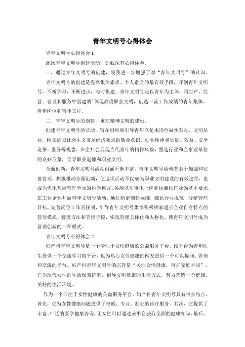 青年文明号心得体会