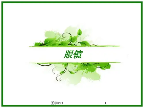 《眼镜介绍》PPT课件