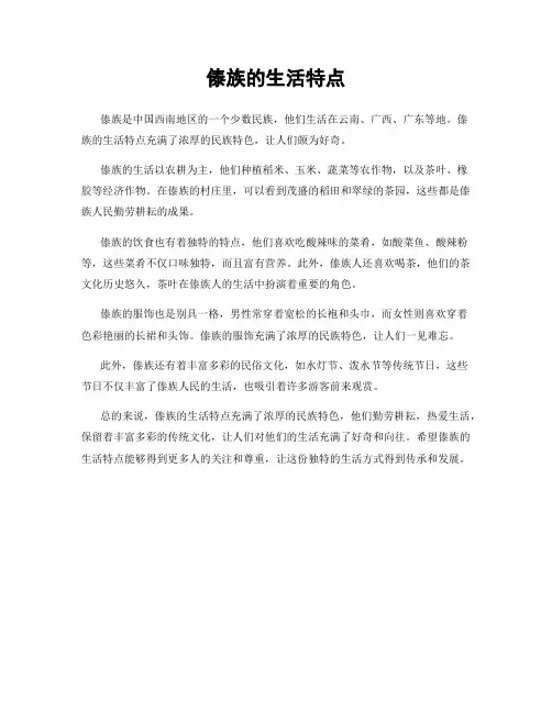 傣族的生活特点
