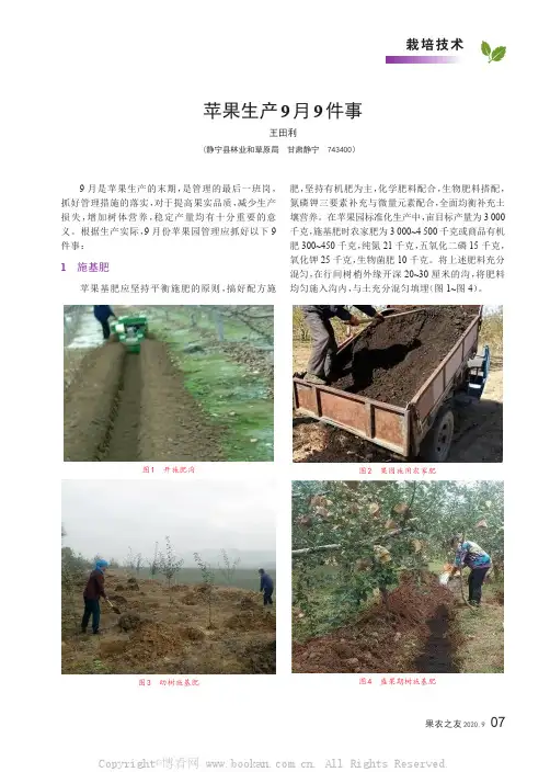 苹果生产9 月9 件事