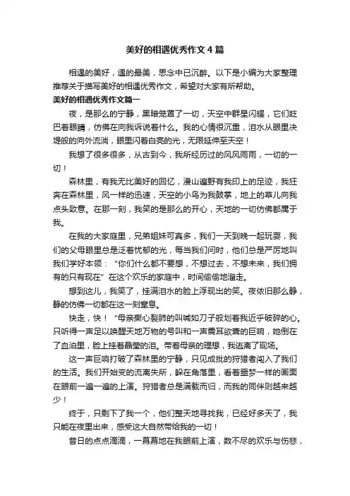 美好的相遇优秀作文4篇