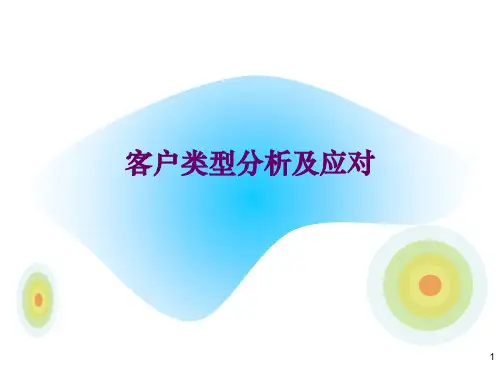 客户类型分析(PPT36页)
