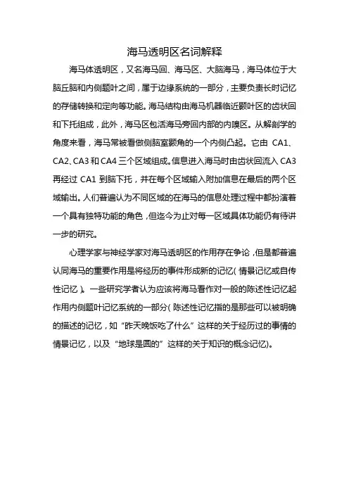 海马透明区名词解释