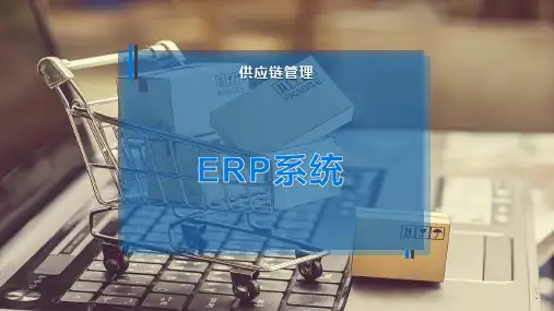 ERP系统
