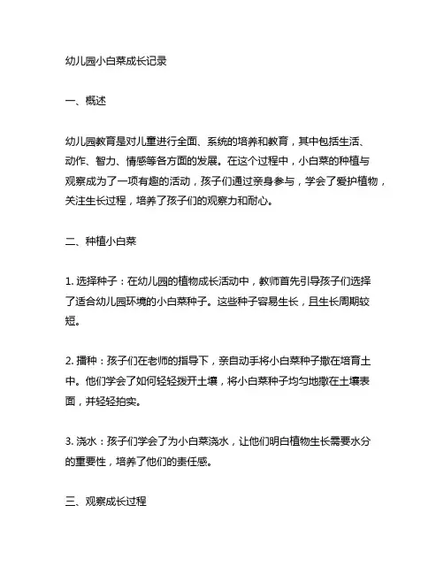 幼儿园小白菜成长记录 幼儿园植物成长