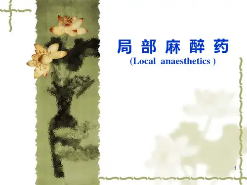 局部麻醉药 PPT课件
