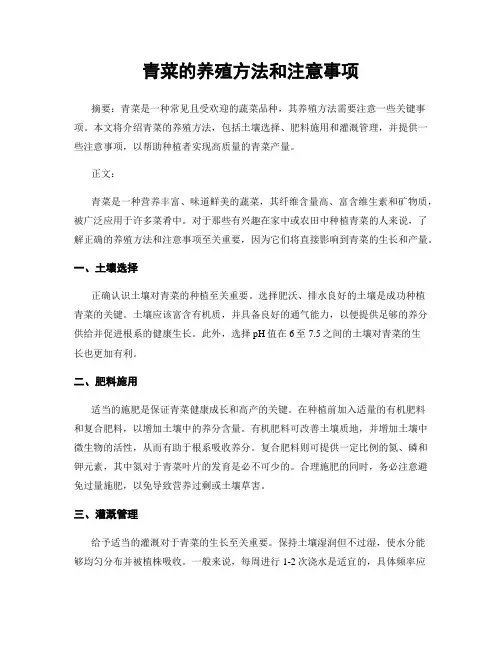 青菜的养殖方法和注意事项