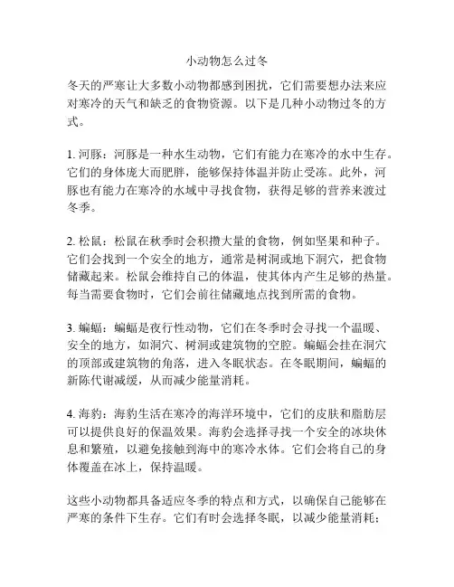 小动物怎么过冬