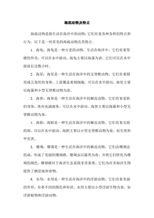 海底动物及特点