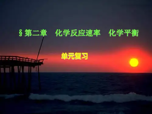 化学平衡复习课课件