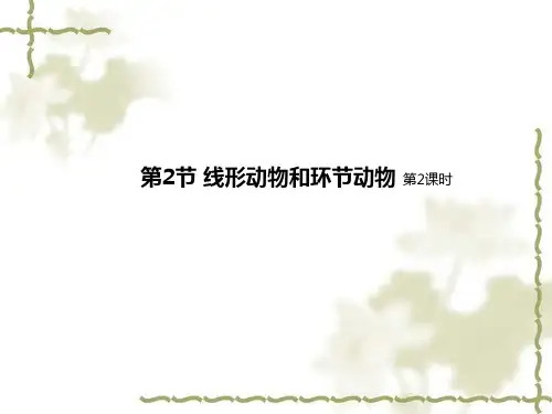 5.线形动物和环节动物：第2课时课件(人教版生物)