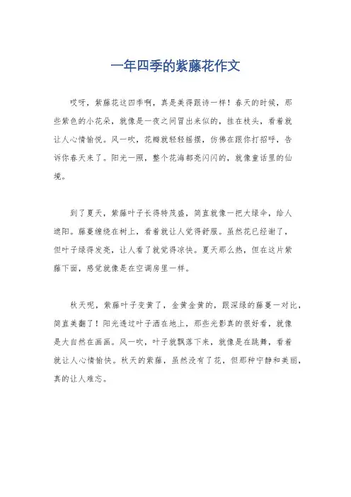 一年四季的紫藤花作文