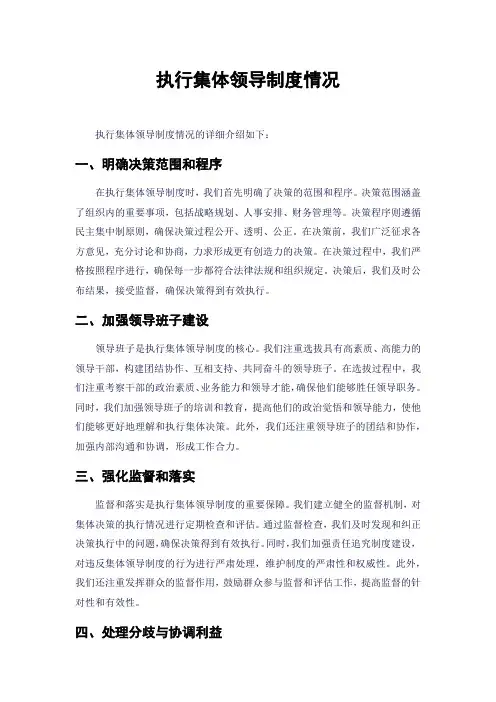 执行集体领导制度情况