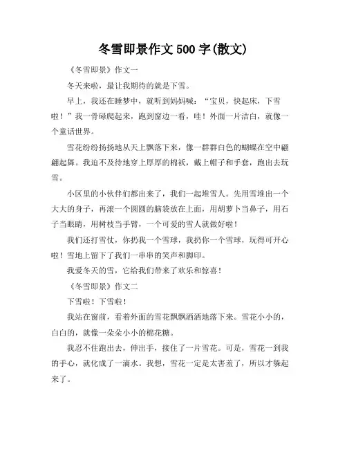 冬雪即景作文500字(散文)