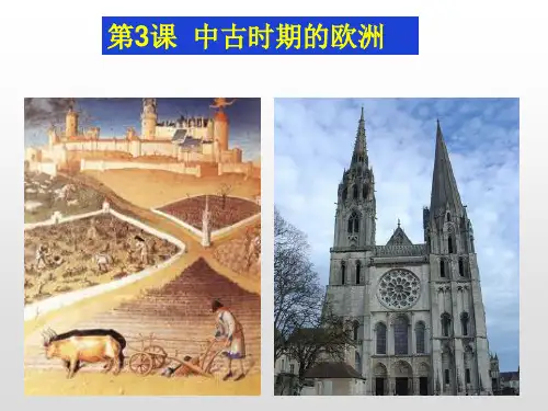 【统编版】中古时期的欧洲PPT下载2
