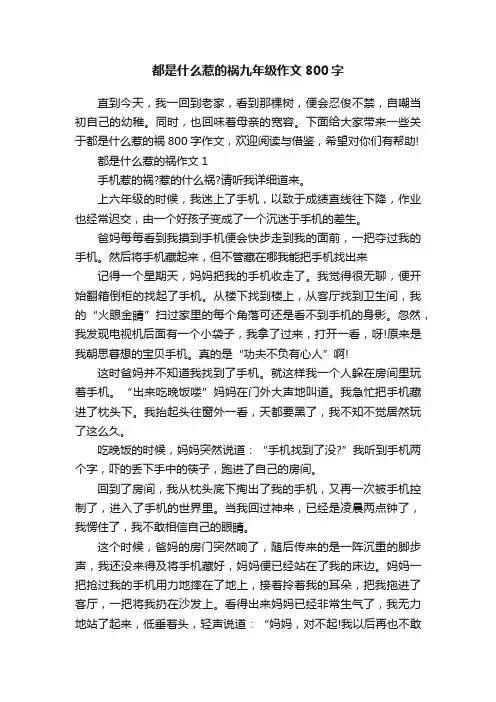 都是什么惹的祸九年级作文800字