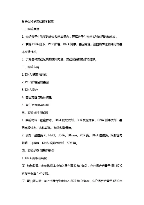分子生物学实验教学教案