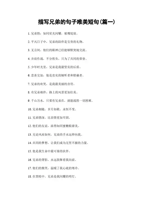 描写兄弟的句子唯美短句(精选两篇)